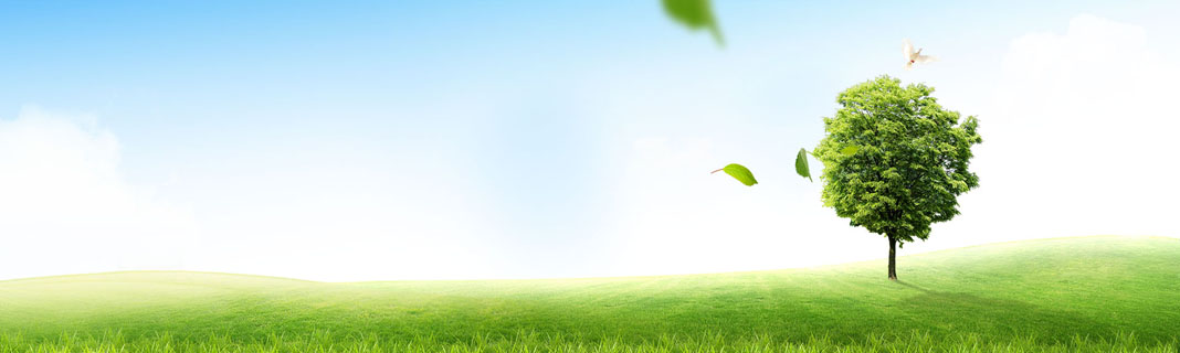 ����һ������(�й�)����